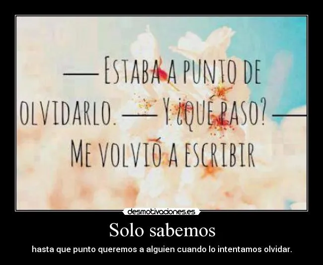 Solo sabemos | Desmotivaciones