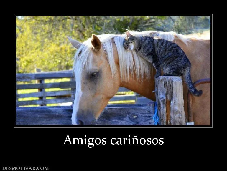 Desmotivaciones Amigos cariñosos