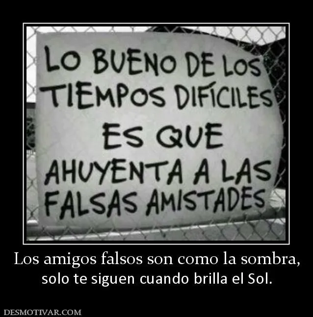 Desmotivaciones Los amigos falsos son como la sombra, solo te ...