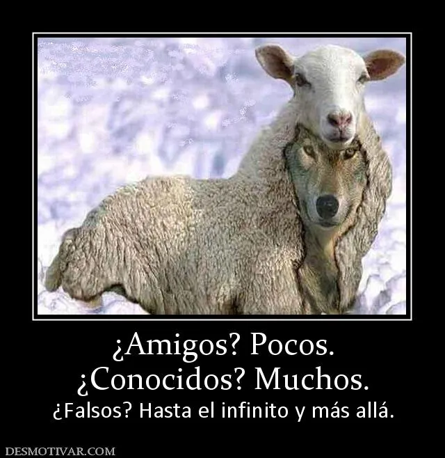 Desmotivaciones ¿Amigos? Pocos. ¿Conocidos? Muchos. ¿Falsos? Hasta ...