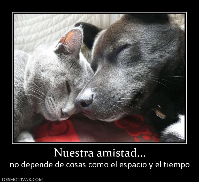 Desmotivaciones de amor y amistad : Desmotivaciones de amor