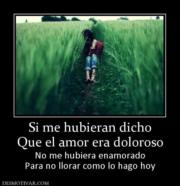 Desmotivaciones Si me hubieran dicho Que el amor era doloroso No ...