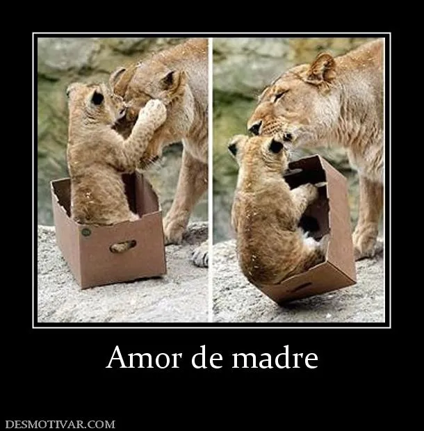 Desmotivaciones Amor de madre