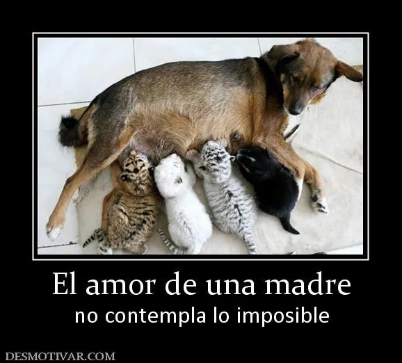 Desmotivaciones El amor de una madre no contempla lo imposible