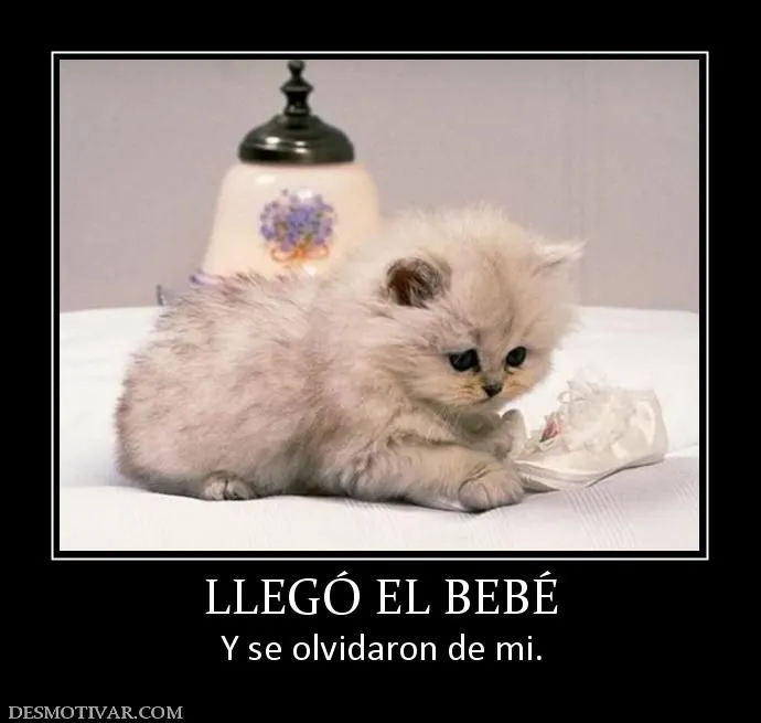 Desmotivaciones Bebes Chistosos MEMES Pictures