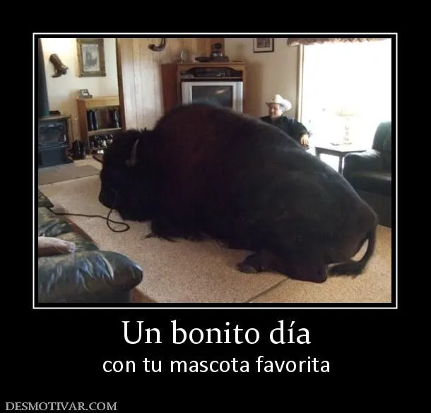 Desmotivaciones Un bonito día con tu mascota favorita