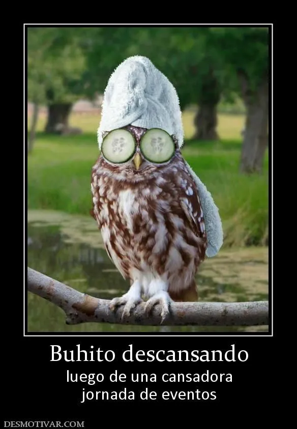 Desmotivaciones Buhito descansando luego de una cansadora jornada ...