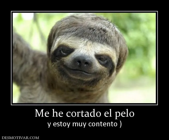 Desmotivaciones Me he cortado el pelo y estoy muy contento )