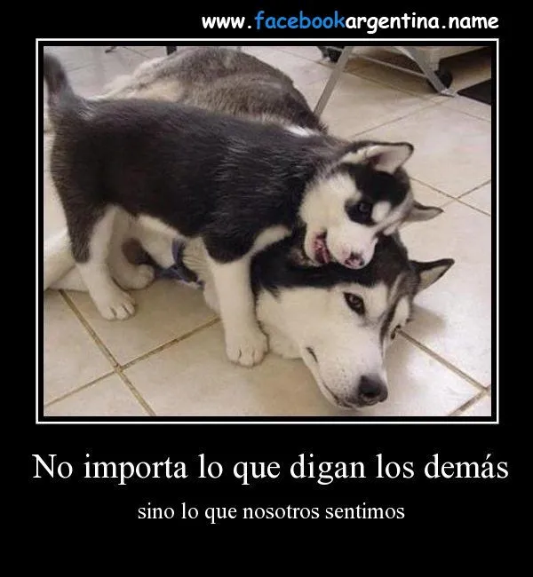 Desmotivaciones-de-novios by Bella-Gina on DeviantArt