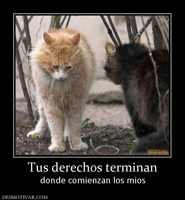 Desmotivaciones Tus derechos terminan donde comienzan los mios