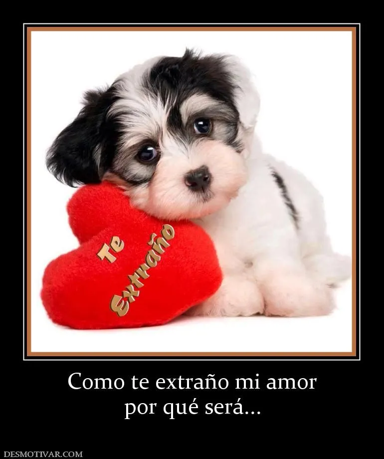 Desmotivaciones Como te extraño mi amor por qué será...