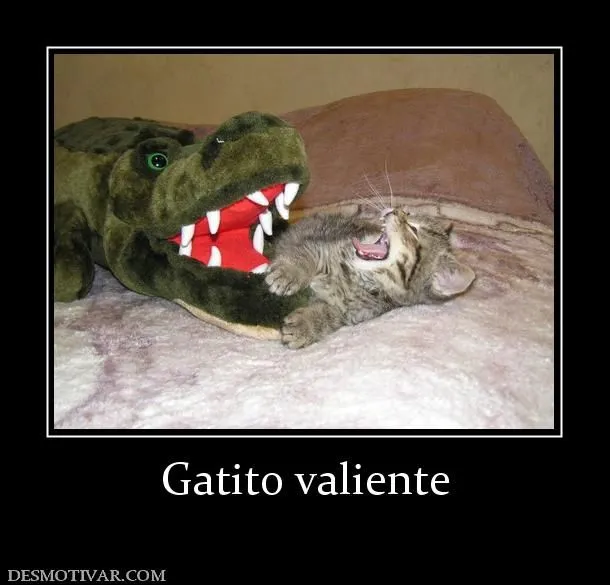 Desmotivaciones Gatito valiente