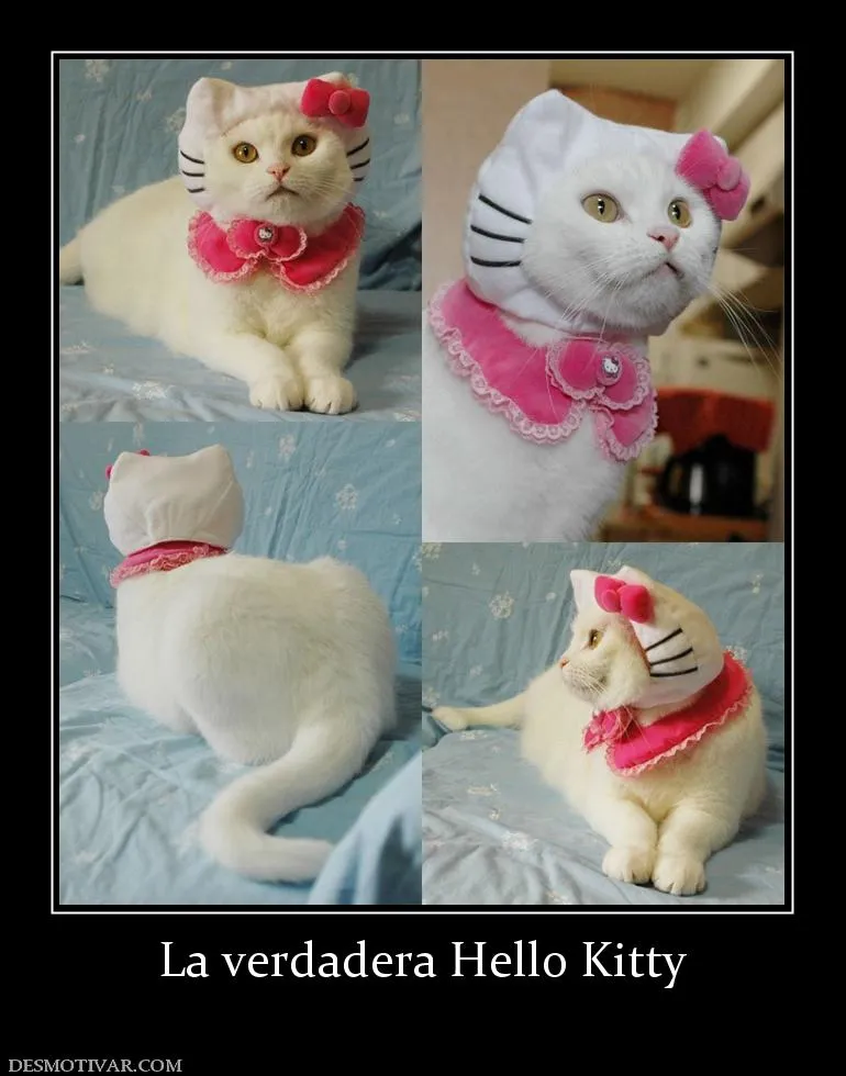 Desmotivaciones La verdadera Hello Kitty