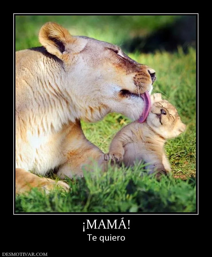 Desmotivaciones ¡MAMÁ! Te quiero