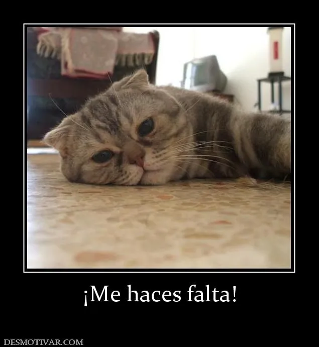 Desmotivaciones ¡Me haces falta!