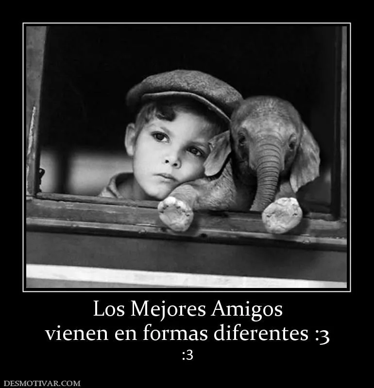 Desmotivaciones Los Mejores Amigos vienen en formas diferentes :3 :3