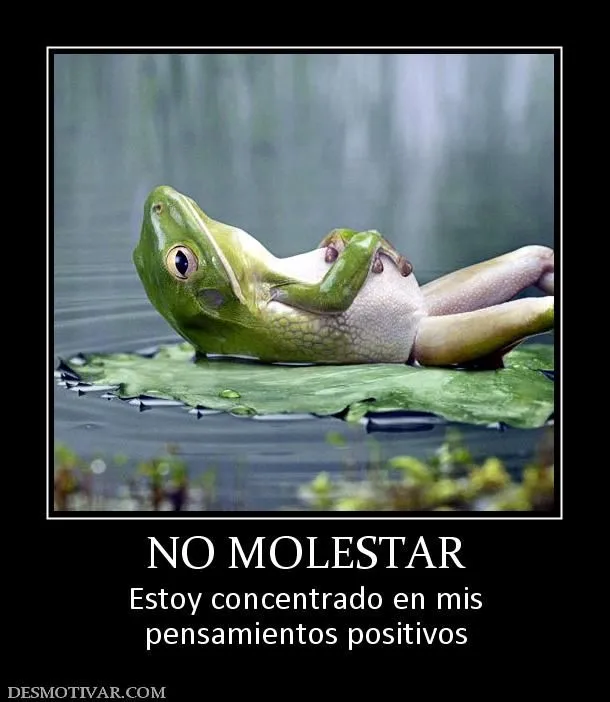 Desmotivaciones NO MOLESTAR Estoy concentrado en mis pensamientos ...