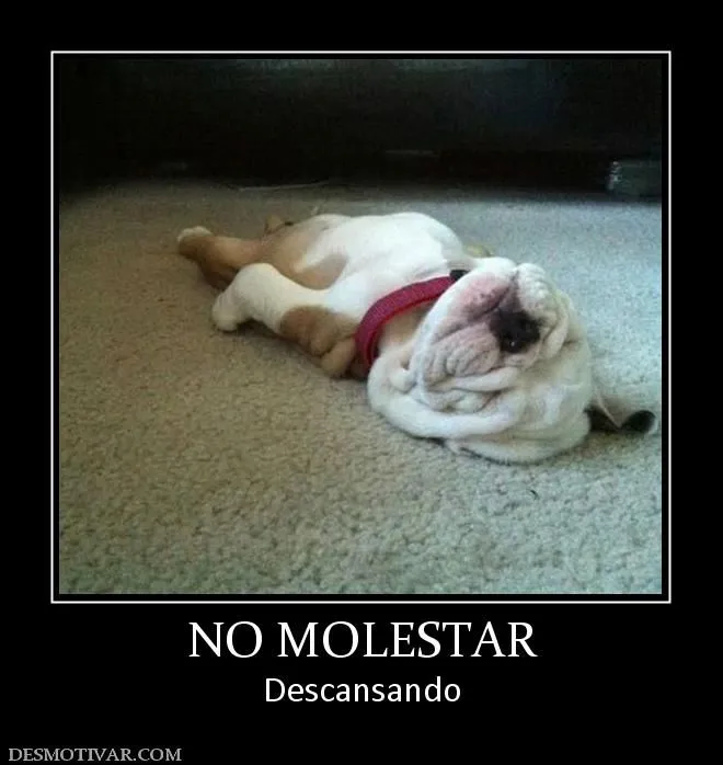 Desmotivaciones NO MOLESTAR Descansando