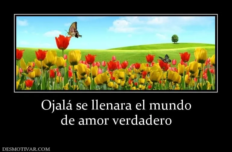 Desmotivaciones Ojalá se llenara el mundo de amor verdadero