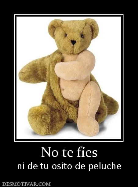 Desmotivaciones No te fíes ni de tu osito de peluche