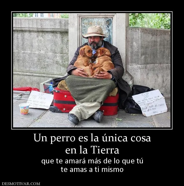 Desmotivaciones Un perro es la única cosa en la Tierra que te ...