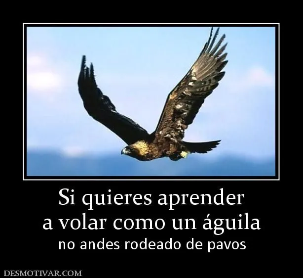 Desmotivaciones Si quieres aprender a volar como un águila no ...