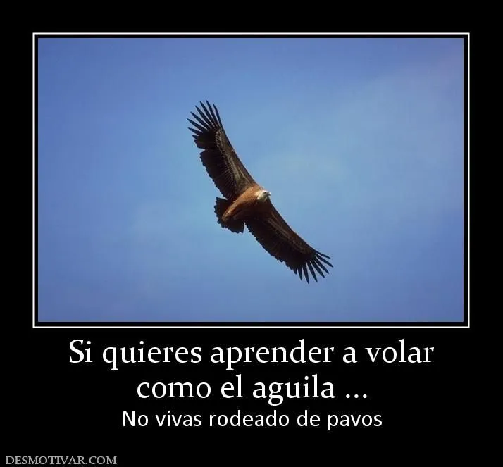 Desmotivaciones Si quieres aprender a volar como el aguila ... No ...