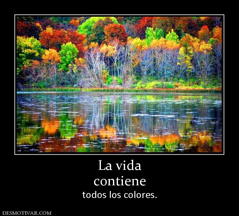 Desmotivaciones La vida contiene todos los colores.