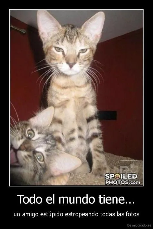 Desmotivado es - Imagui