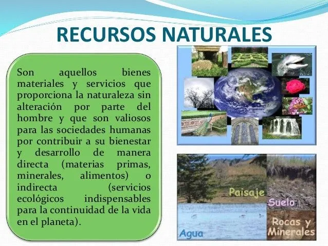 Desordenada e irracional explotacion de los recursos naturales del ec…