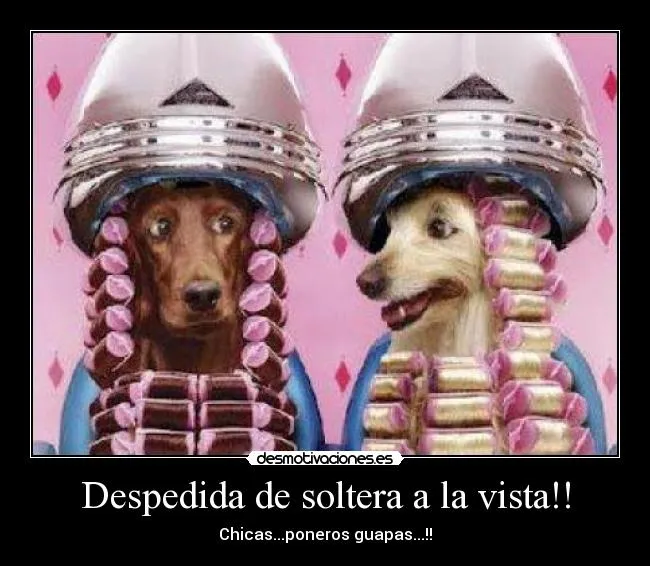 Despedida de soltera a la vista!! | Desmotivaciones