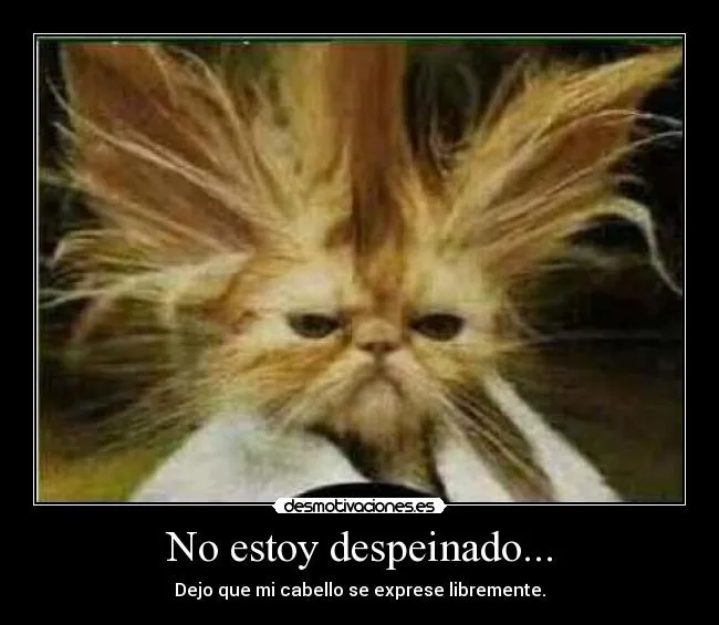 No estoy despeinado... | Desmotivaciones