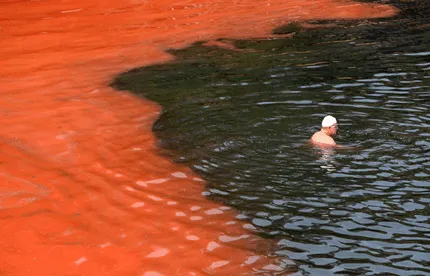 Despertando Consciencias: El mar se tiñe de rojo en Australia