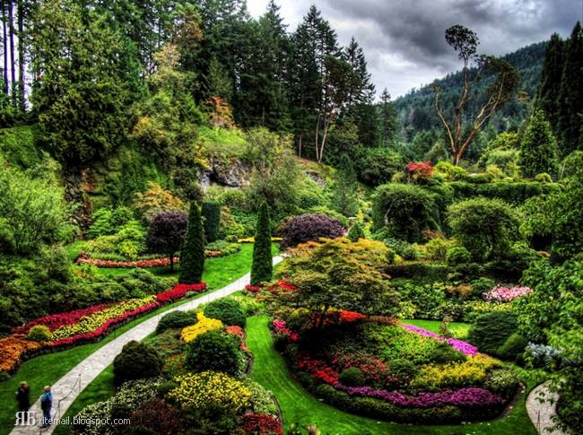 EL DESPERTAR SAI: LOS 15 MAS BELLOS JARDINES EN EL MUNDO