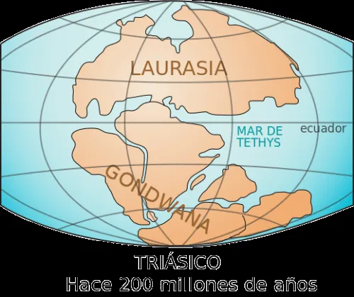 Despierta al futuro: Descubierta una antigua criatura de Gondwana