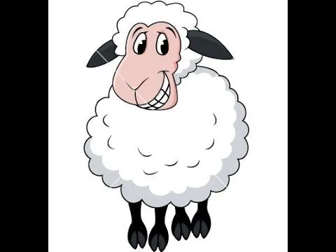 dessin animé drôle de moutons, dessin animé d´animal, dessin animé ...