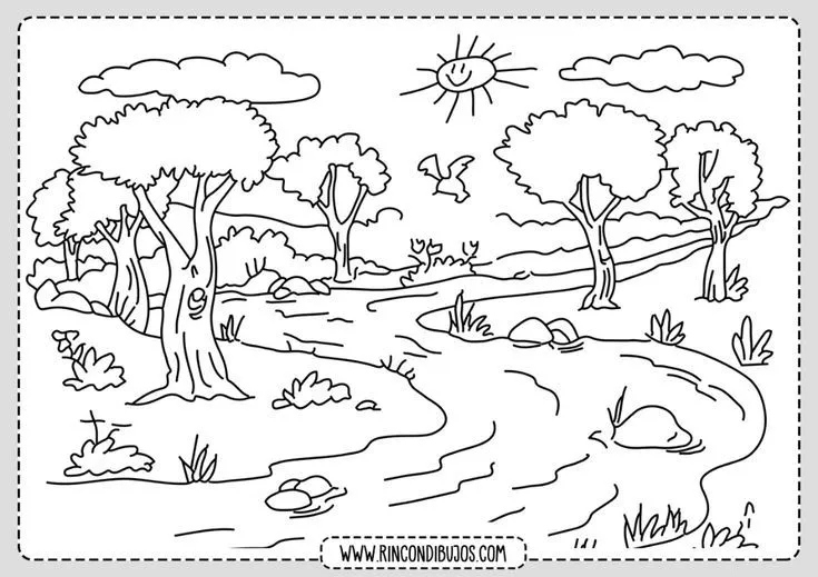 Detalles más de 77 dibujos para colorear un bosque - camera.edu.vn