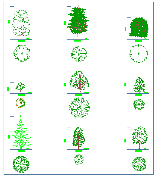 Arboles para planos - Imagui