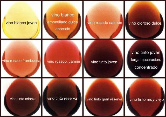 Qué determina el color del vino? / Blog - Bodega Santa Cecilia ...