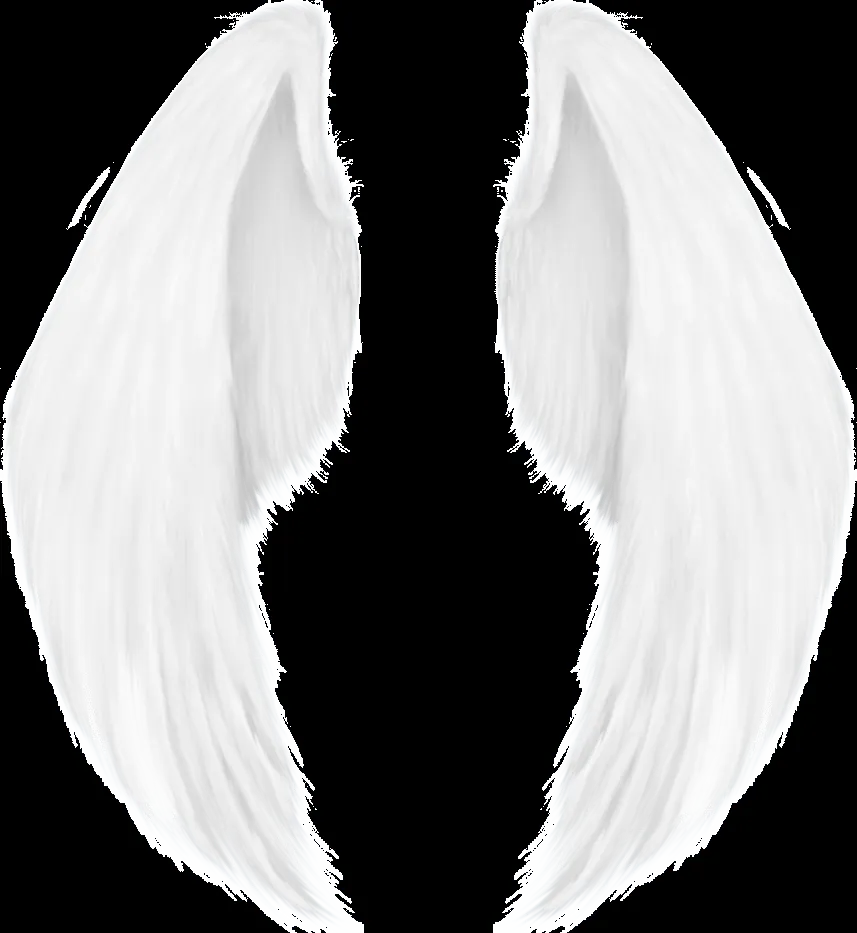 DeviantArt: More Like Alas de angel PNG by EugeBiebz212