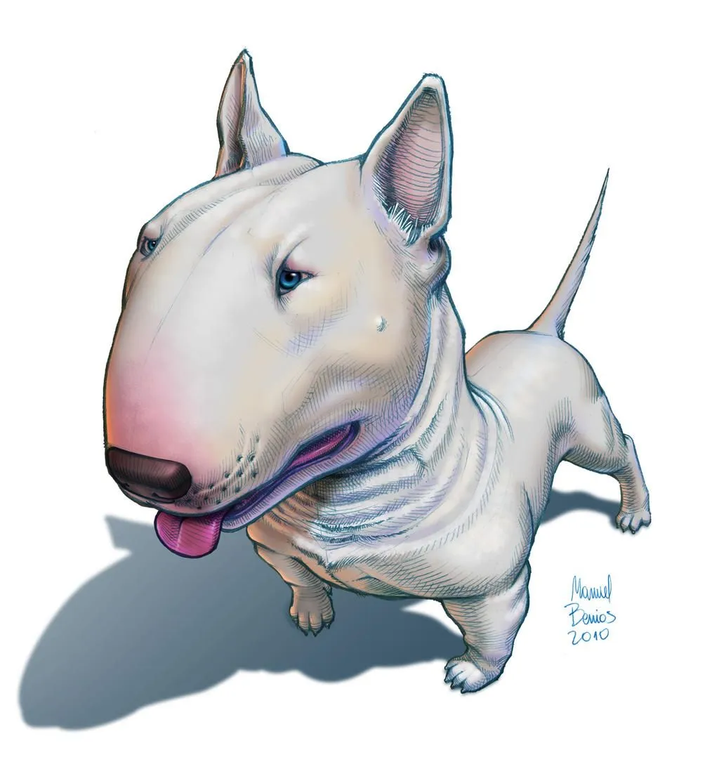 DeviantArt: More Like bull terrier by Drehli