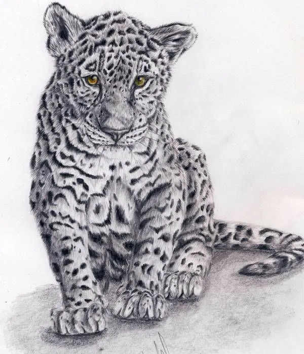 deviantART: More Like Jaguar by keldon7