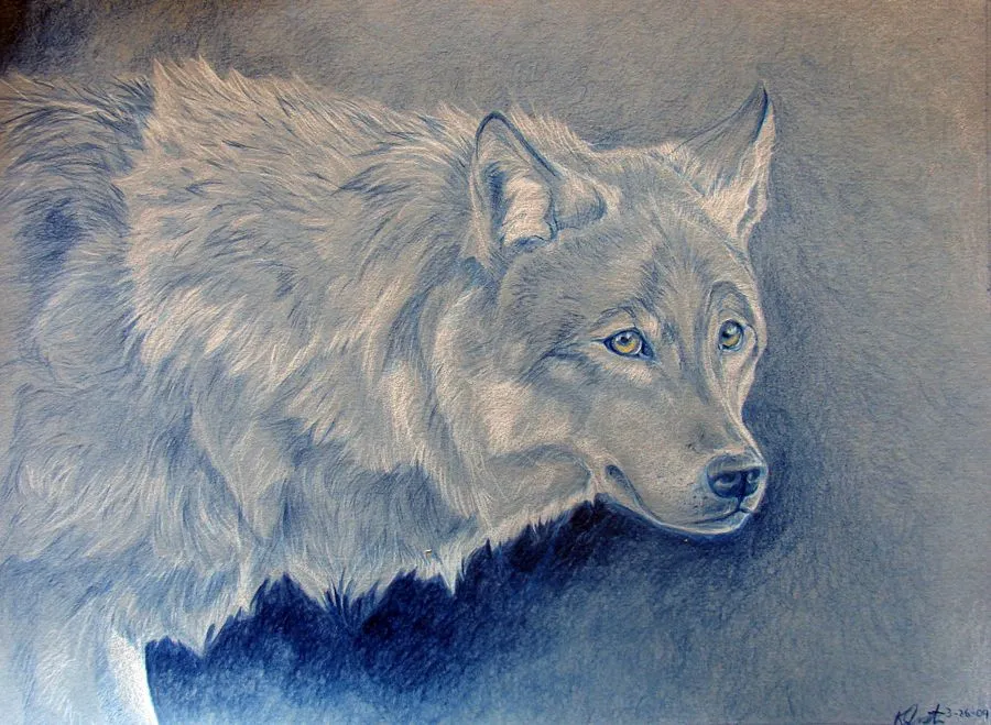 DeviantArt: More Like El Lobo Azul by FeraCoyote