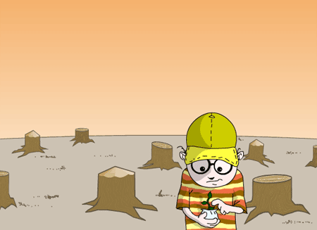 DI NO! A LA DEFORESTACION: noviembre 2010
