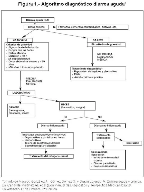 Diagnóstico de la diarrea aguda | El blog de Ricardo Ruiz de Adana ...