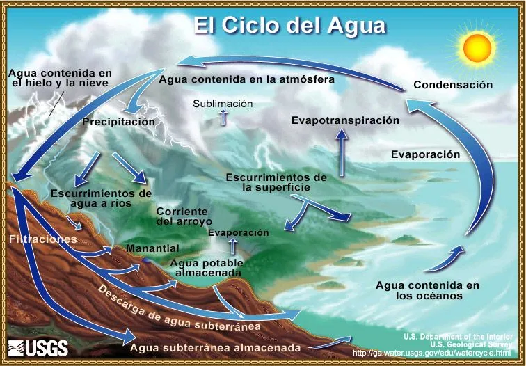 Diagrama del ciclo del agua - The Water Cycle: Diagram of the ...