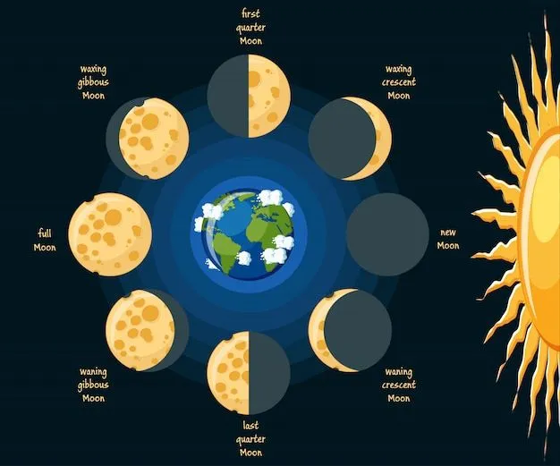 Diagrama de fases de la luna básica | Vector Premium