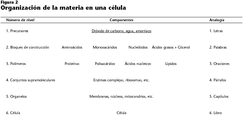 Diálogo Universitario