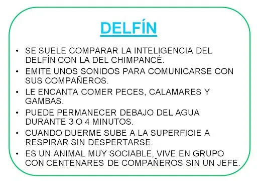 Descripciones de animales para niños - Imagui