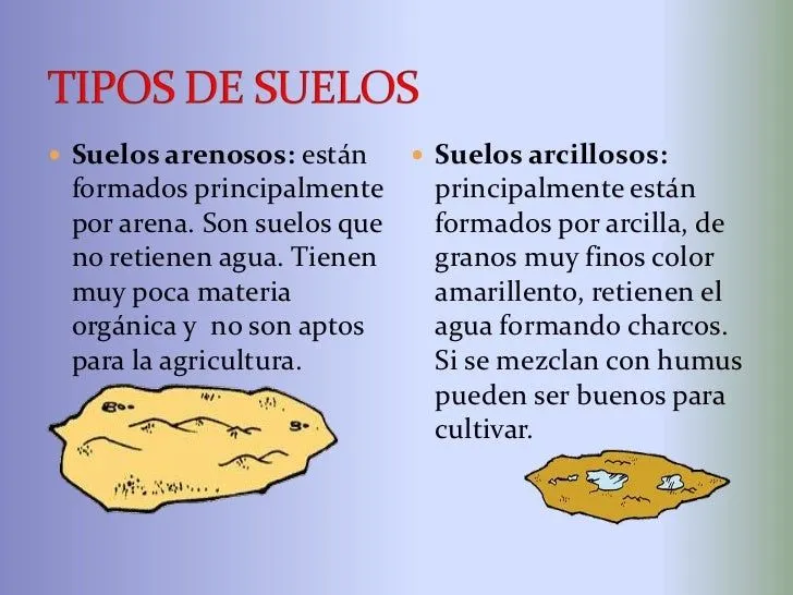 Diapositivas del suelo